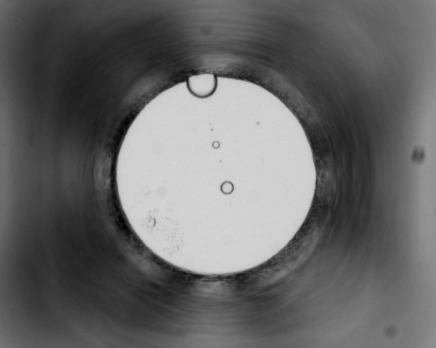 X0000103930454200810311521