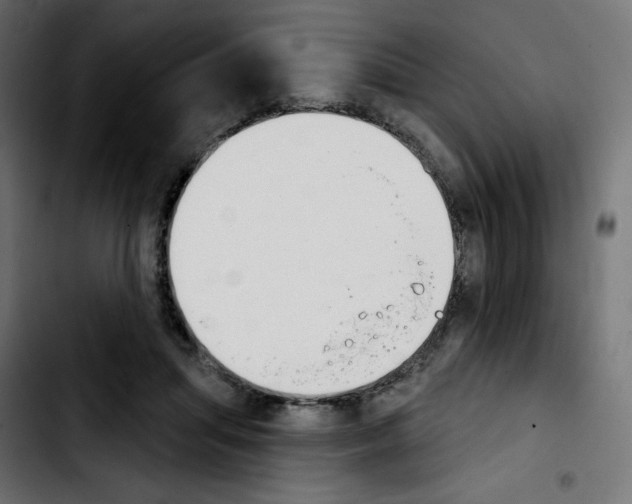 X0000103930455200810311521