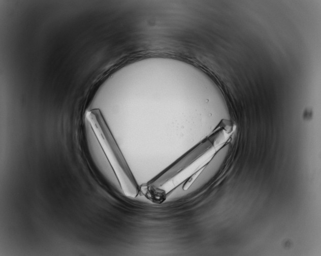 X0000103930456200810311521