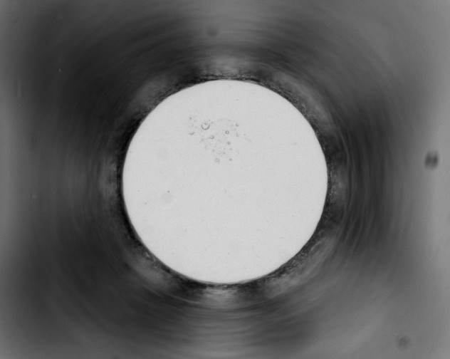 X0000103930457200810311521