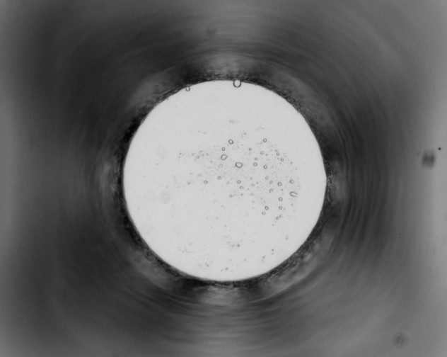 X0000103930458200810311521