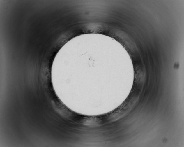 X0000103930459200810311521