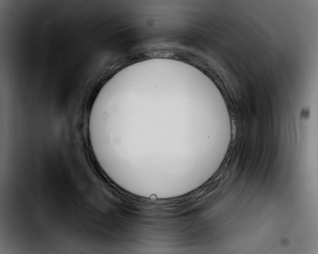 X0000103930460200810311521