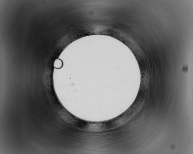 X0000103930461200810311521