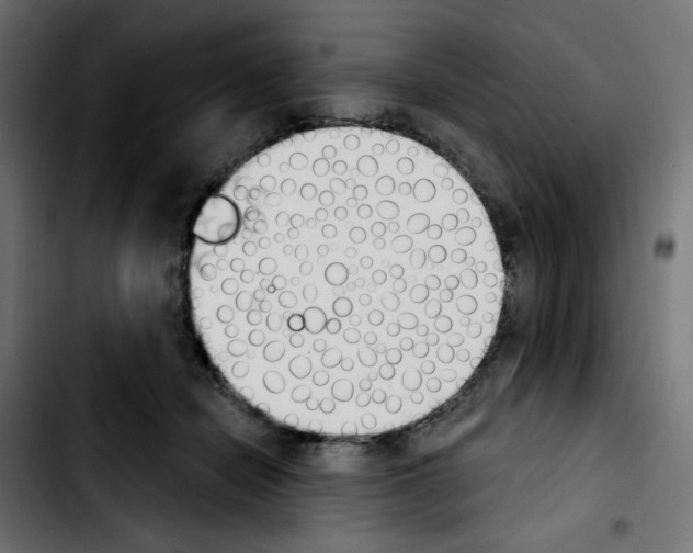 X0000103930462200810311521