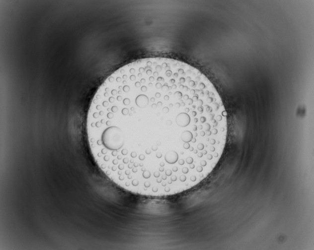 X0000103930463200810311521