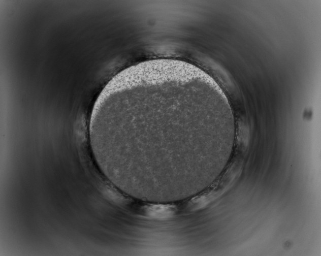X0000103930465200810311521