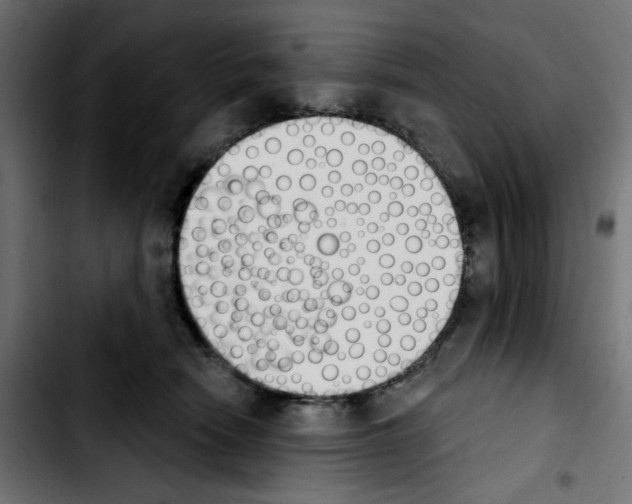 X0000103930466200810311521