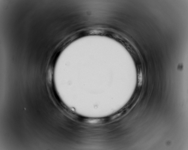 X0000103930468200810311521