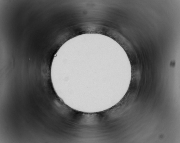 X0000103930469200810311521