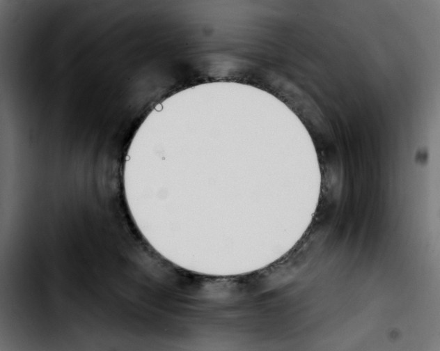 X0000103930470200810311521