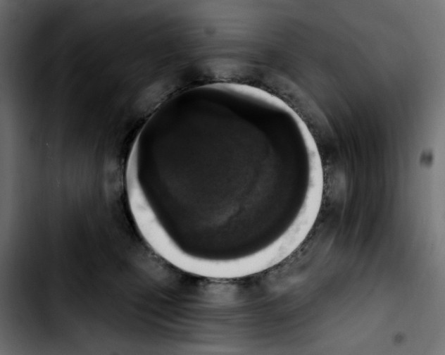 X0000103930471200810311521