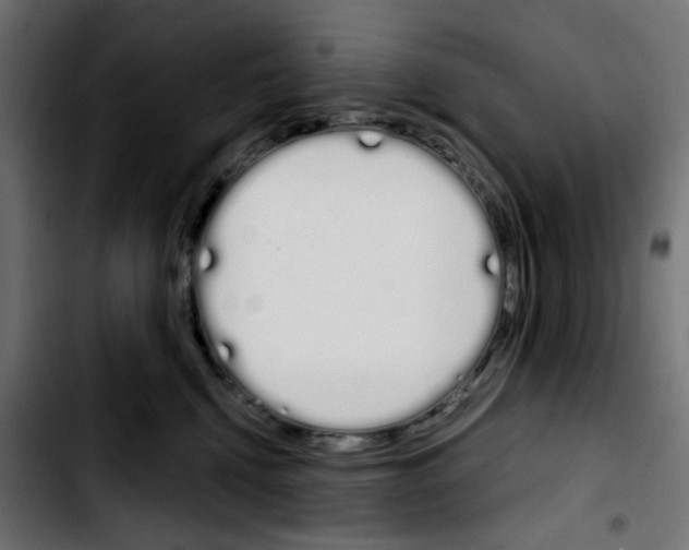 X0000103930472200810311521
