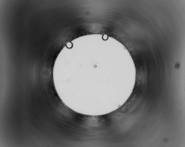 X0000103930473200810311521