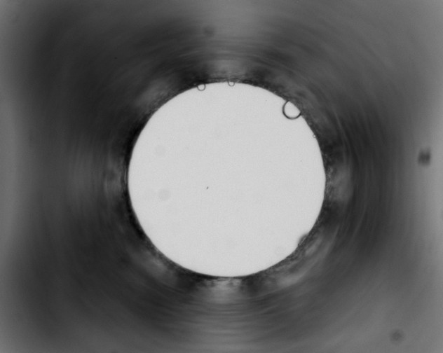 X0000103930474200810311521