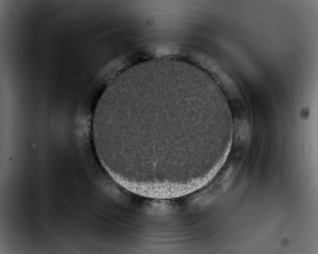 X0000103930475200810311521
