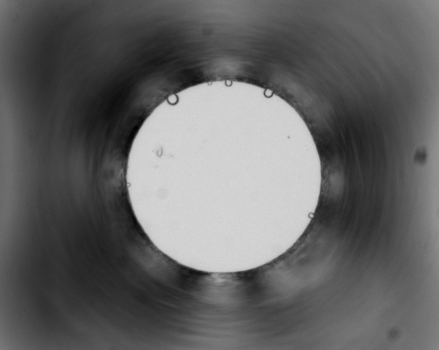 X0000103930477200810311521