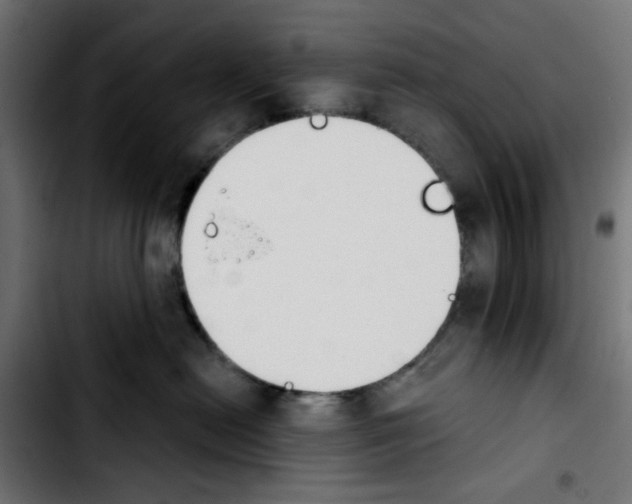 X0000103930478200810311521