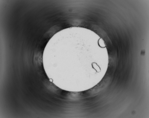 X0000103930479200810311521