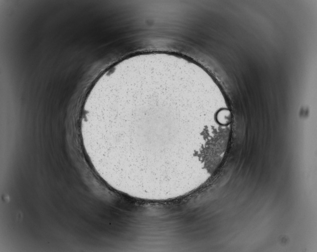 X0000103930481200810311520