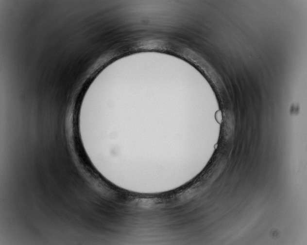 X0000103930482200810311520
