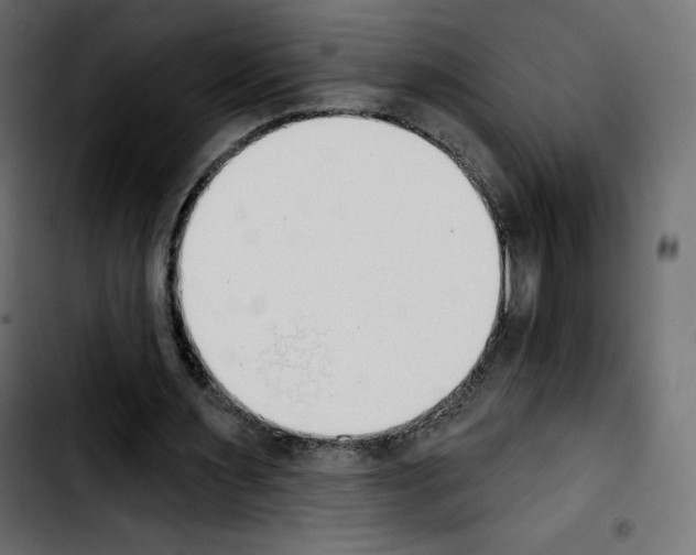 X0000103930483200810311520