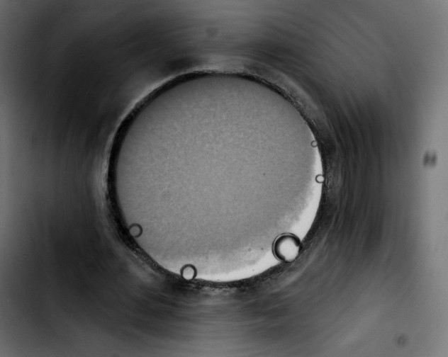 X0000103930484200810311520