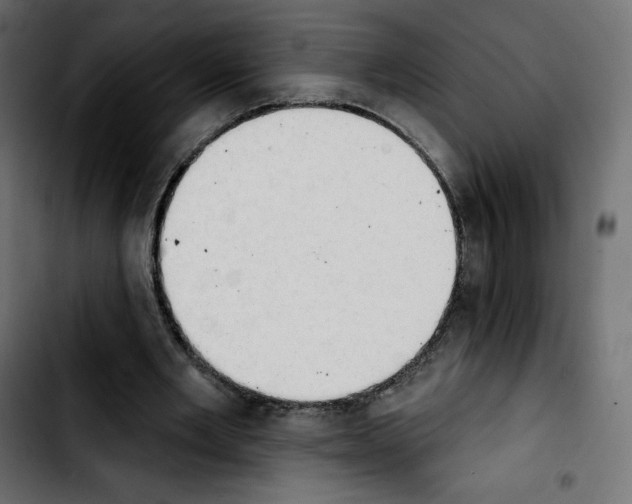 X0000103930485200810311520