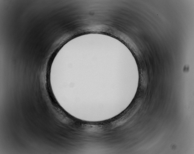 X0000103930486200810311520