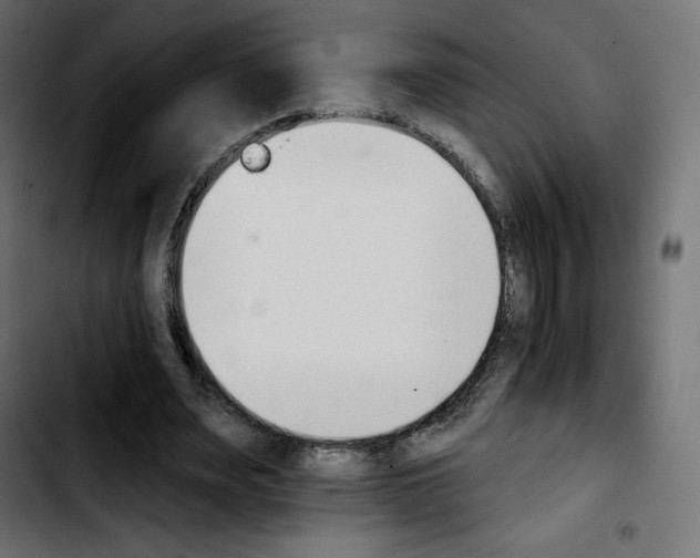 X0000103930487200810311520
