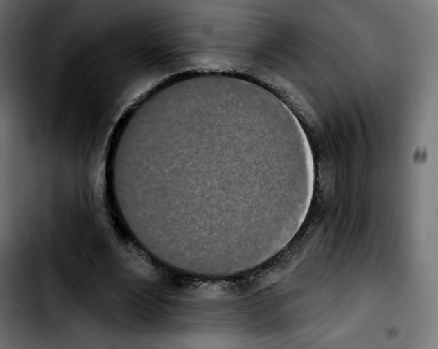 X0000103930488200810311520