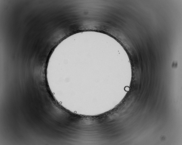 X0000103930489200810311520