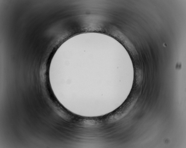 X0000103930490200810311520