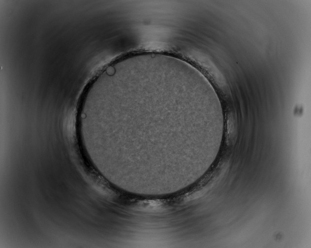 X0000103930492200810311520