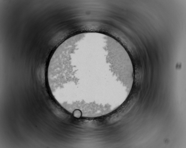 X0000103930493200810311520