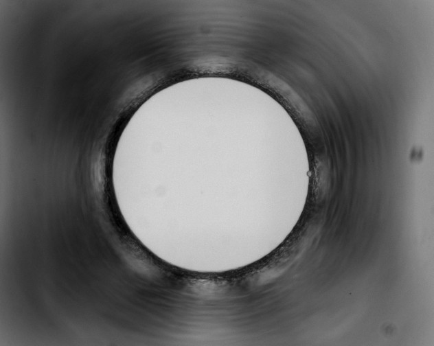 X0000103930494200810311520