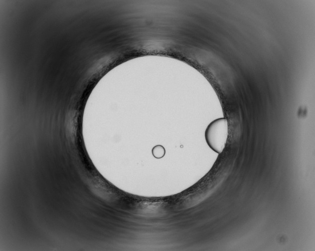 X0000103930495200810311520