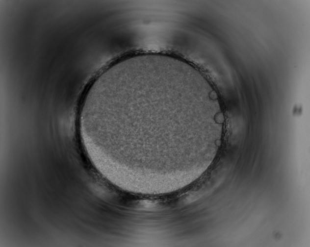 X0000103930496200810311520