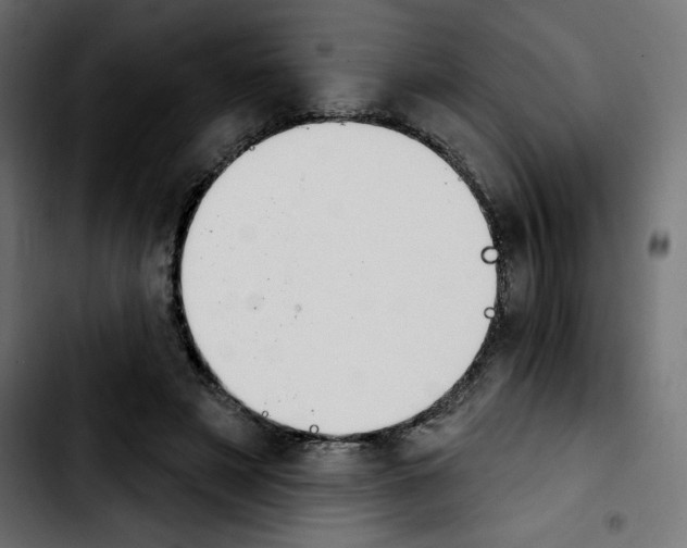 X0000103930497200810311520