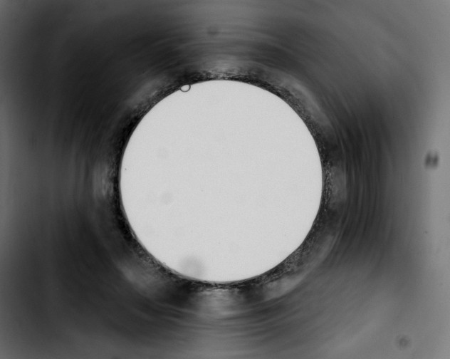 X0000103930499200810311520