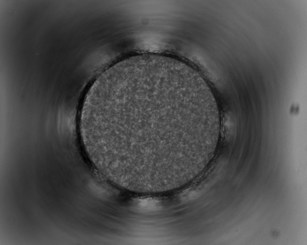 X0000103930500200810311520