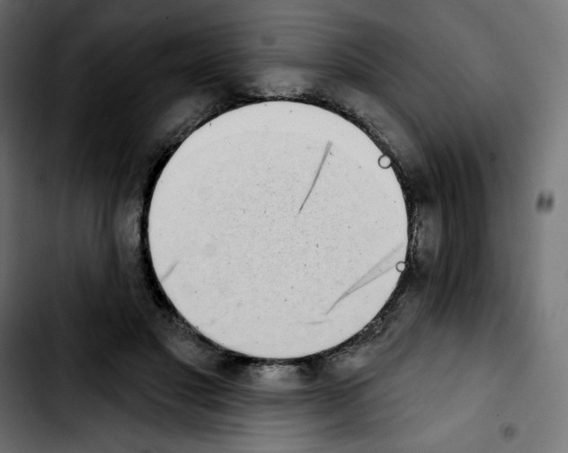 X0000103930501200810311520