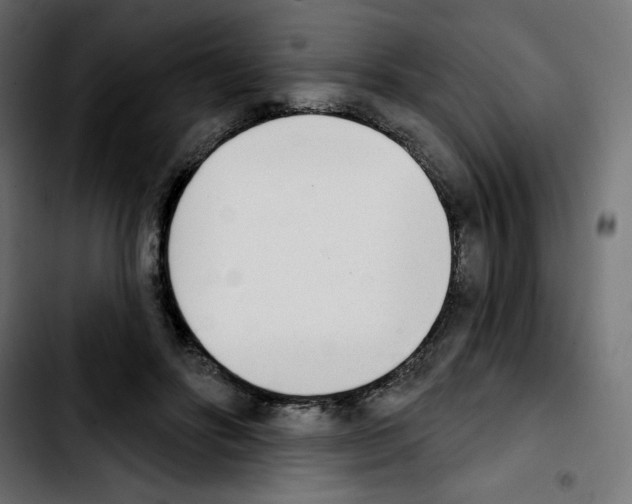 X0000103930502200810311520