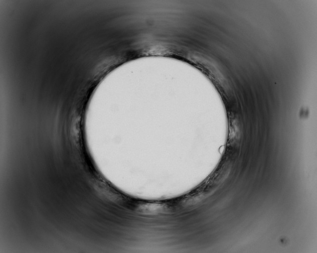 X0000103930503200810311520