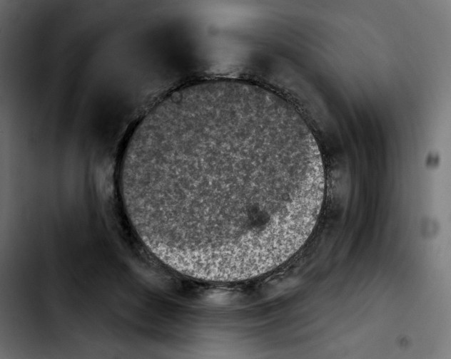 X0000103930504200810311520