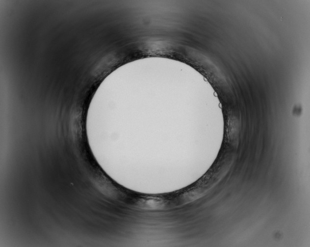 X0000103930506200810311520