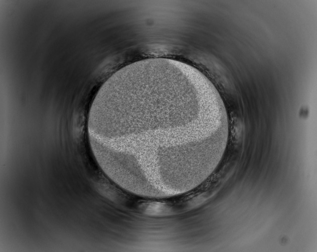 X0000103930507200810311520