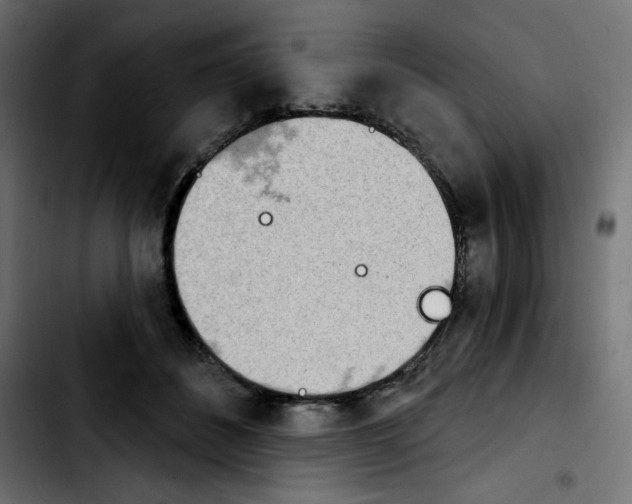 X0000103930508200810311520
