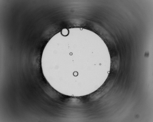X0000103930509200810311520