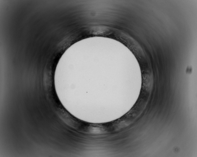 X0000103930510200810311520